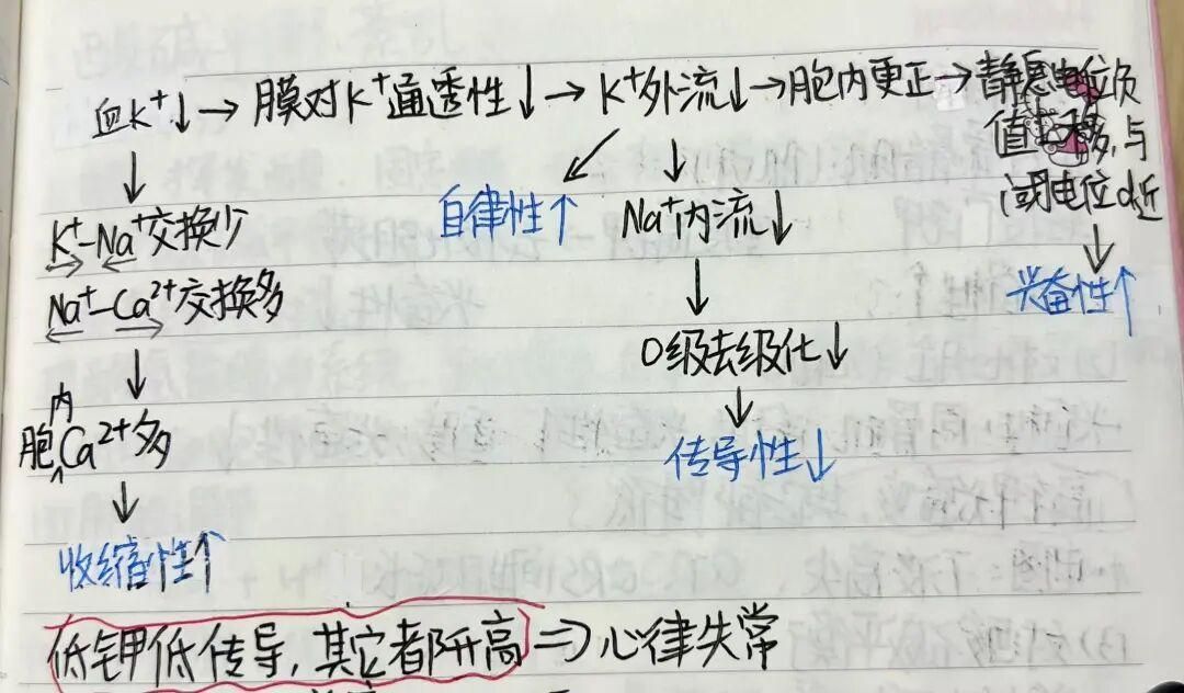 学霸课堂（二）|人解&病生学高效学习方法分享 