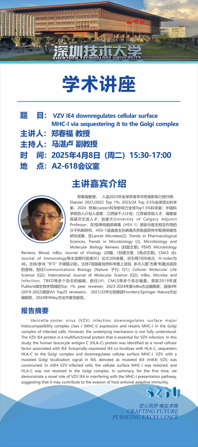 VZV IE4 downregulates cellular surface MHC-I via sequestering it to the Golgi complex