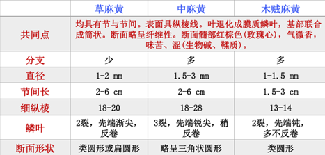 学霸课堂（一）|微免&生药学高效学习方法分享 
