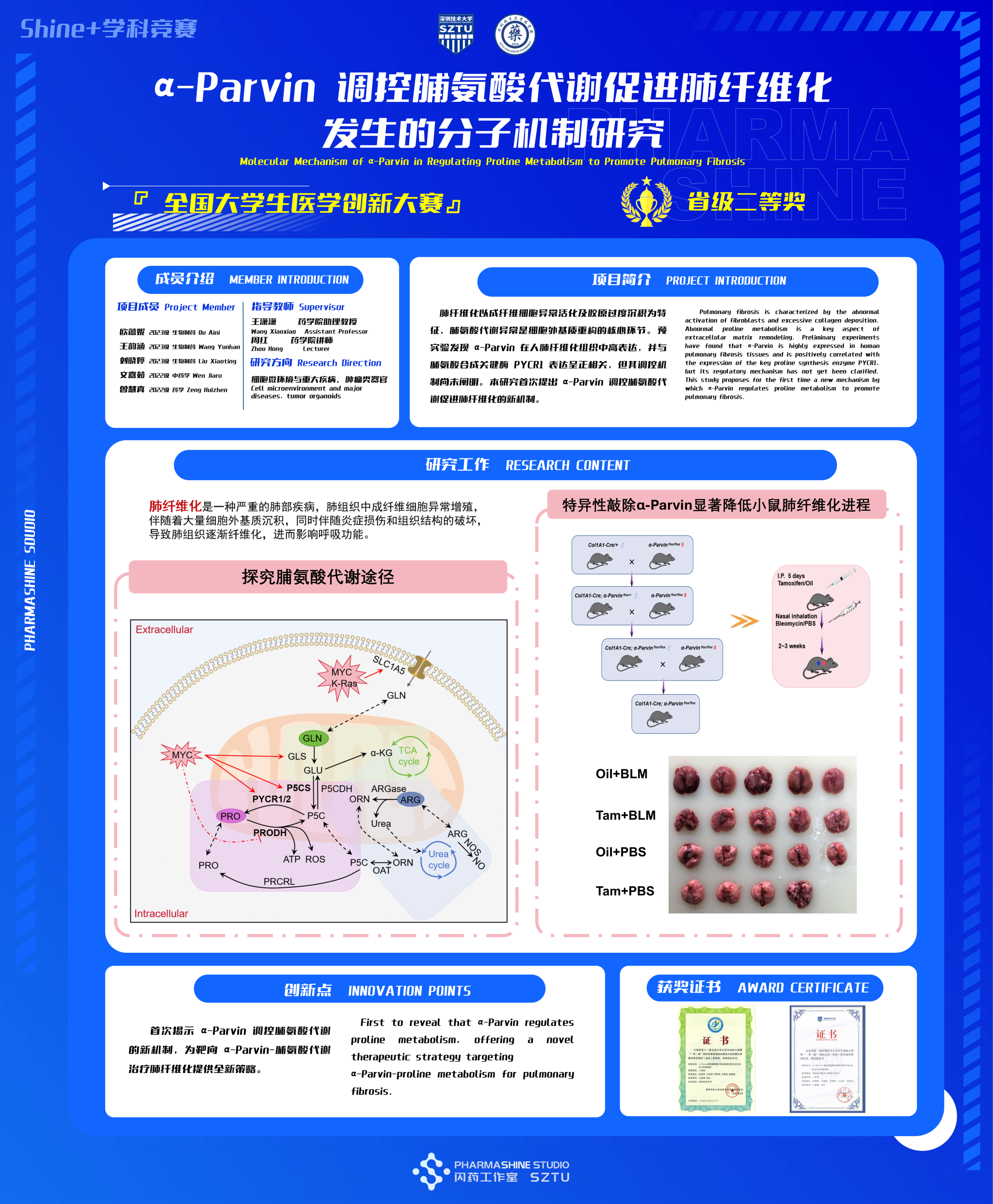 α-Parvin调控脯氨酸代谢促进肺纤维化发生的分子机制研究