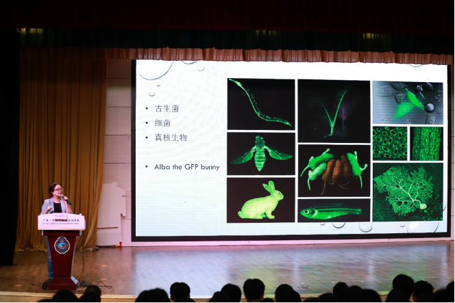 药学院马湛卢副教授做客广铁一中外国语学校 解码荧光蛋白中的科学与生命之美